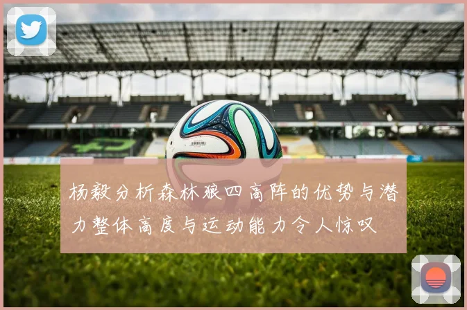 杨毅分析森林狼四高阵的优势与潜力整体高度与运动能力令人惊叹